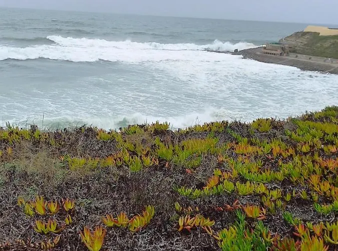 Linda Lejlighed Consolação